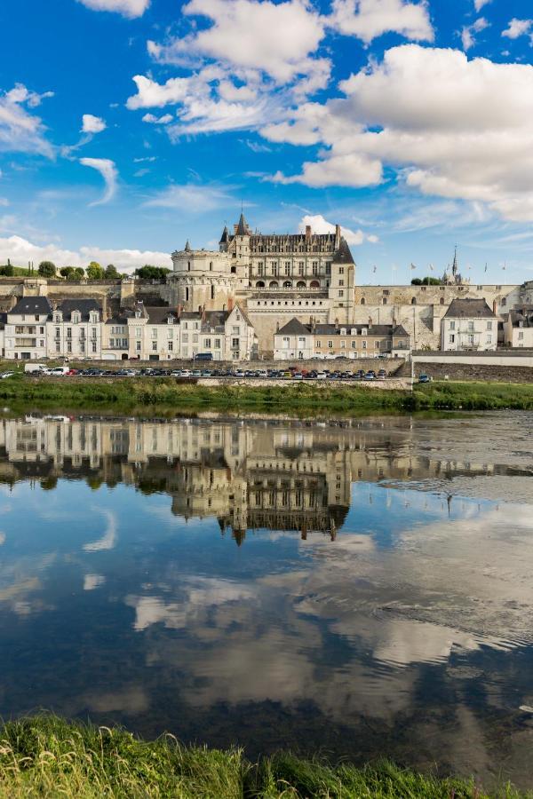 Longere Pierre De Ronsard Villa Rilly-sur-Loire Dış mekan fotoğraf